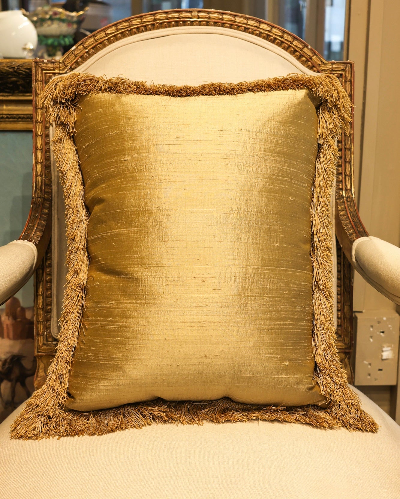 Five Antique Cushions/Pillows of Early 19th C' Hand Woven Silk and Wool Aubusson Tapestry, Circa 1820,  trimmed in Vert Havanne Silk and Cotton Fringe, re-backed in Pure Silk Dupion. - Robin Haydock Antiques