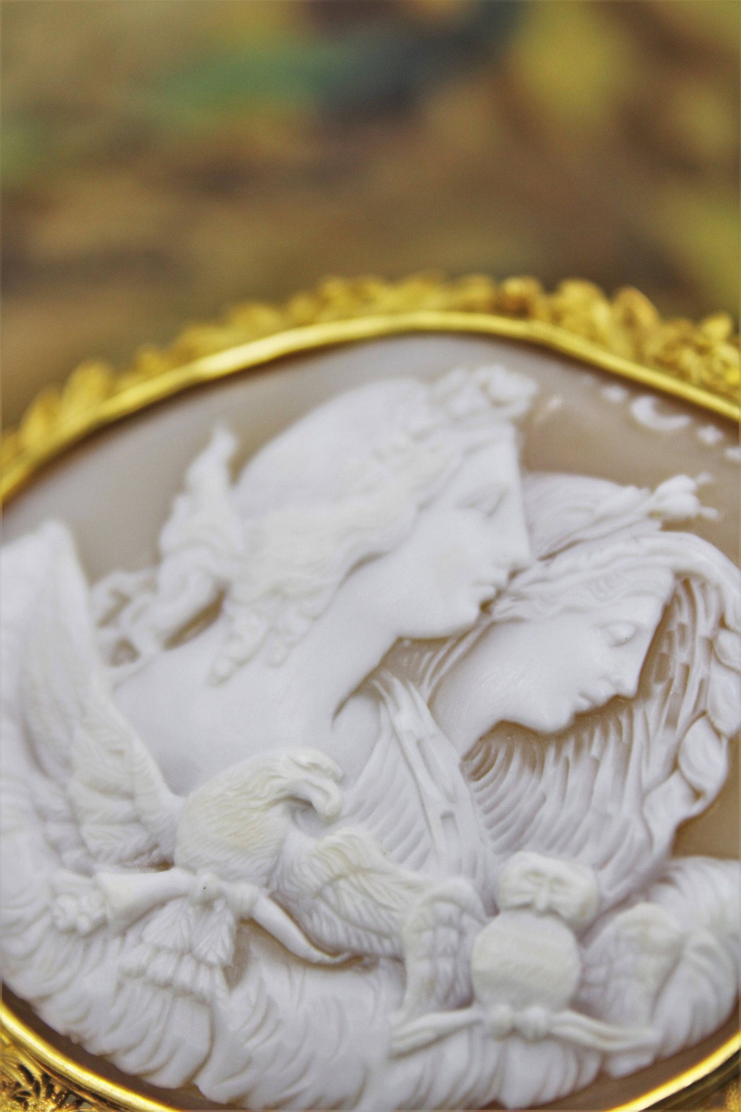 A very fine Shell Cameo and 18ct Yellow Gold (Marked) "Cannetille" Work Brooch, Circa 1830. - Robin Haydock Antiques