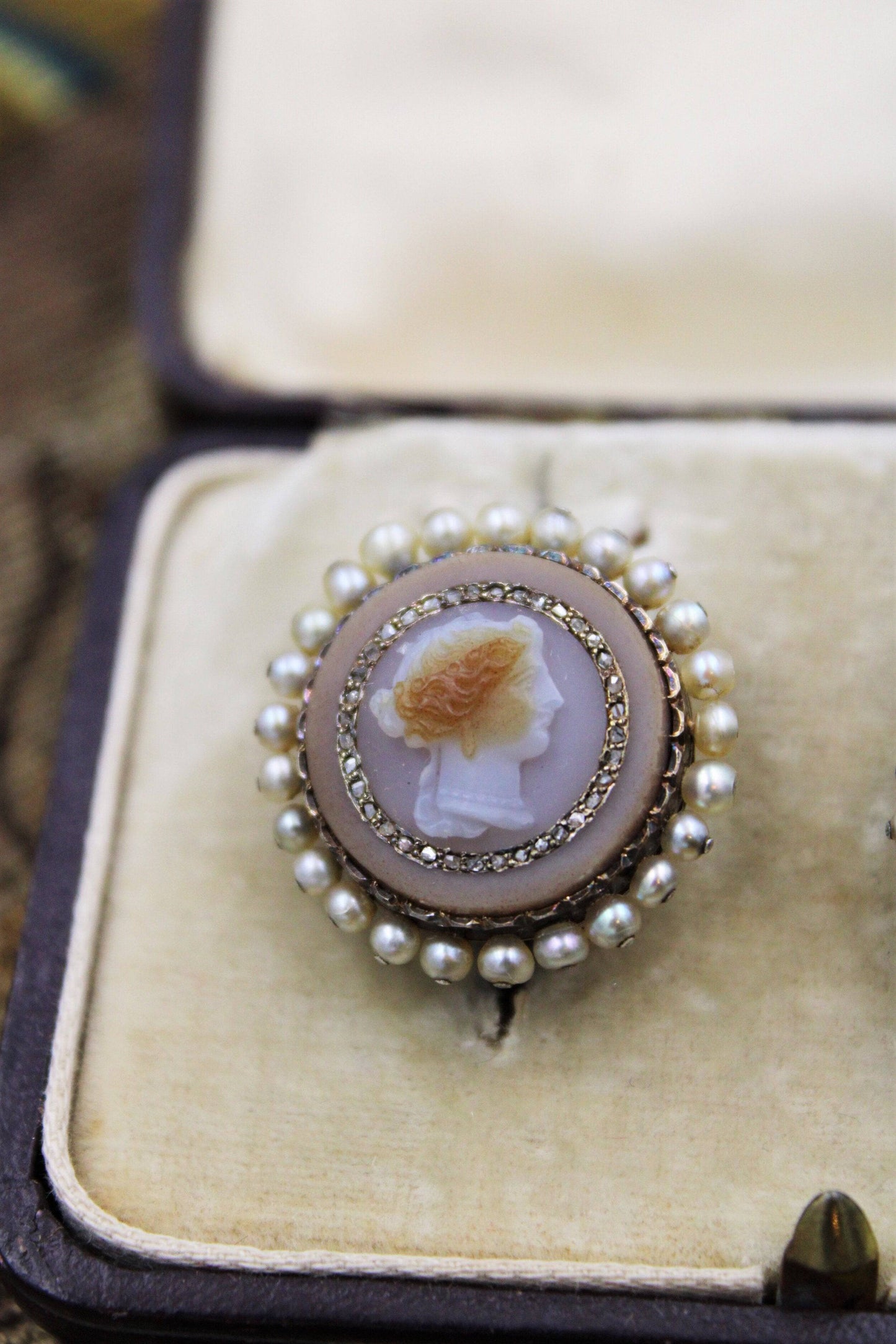 A very fine pair of Hardstone Cameo Earrings set in High Carat Yellow Gold, Circa 1830 - Robin Haydock Antiques