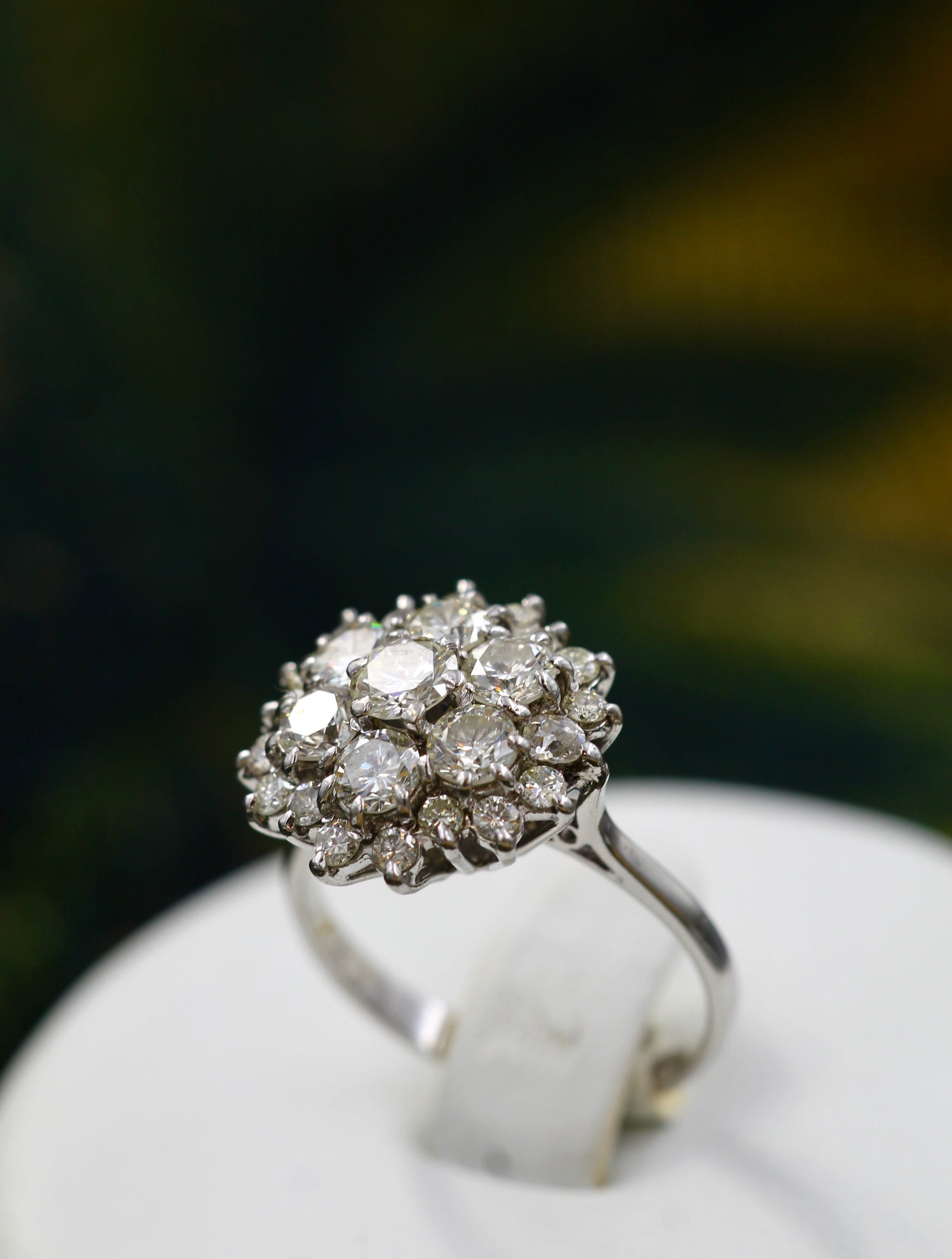 A very fine 18 carat White Gold Diamond Cluster Ring - Robin Haydock Antiques