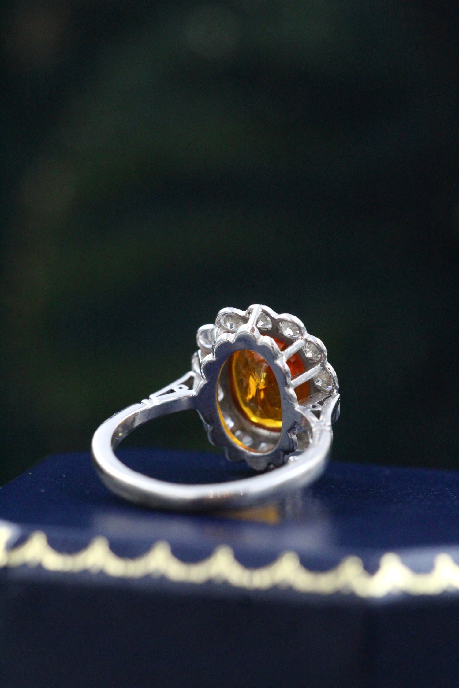 A very fine 18 carat White Gold, Orange Ceylon Sapphire and Diamond Cluster Ring. - Robin Haydock Antiques