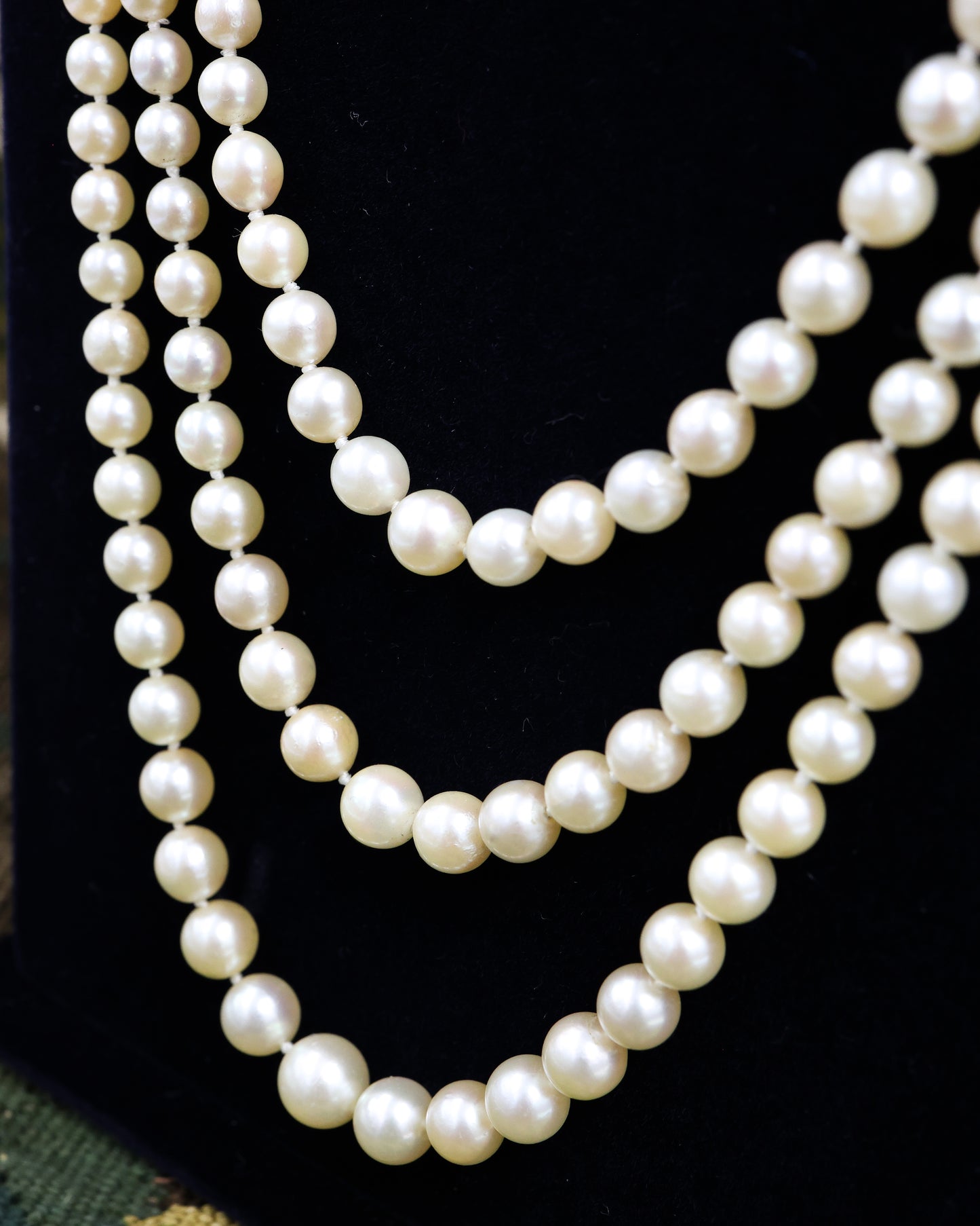 A Silver & High Carat Gold (tested), Diamond Clasp, with a graduated Cultured Pearl Necklace, Clasp Circa 1890 - Robin Haydock Antique Jewellery